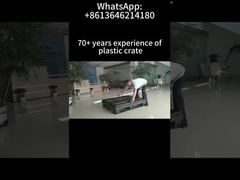 1200×1000mm কোলাপসিবল প্যালেট বক্স স্পেস-সেভিং রিটার্নেবল ট্রান্সপোর্ট প্যাকেজিং সলিউশন